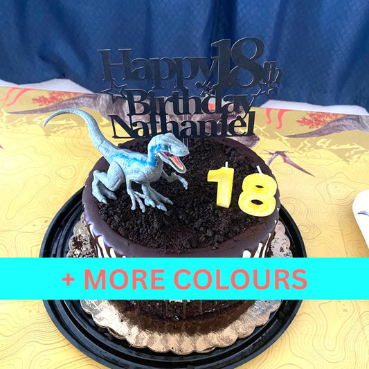 13 Cake Topper, Custom Cake Topper, Happy 18th Birthday Cake Topper, 18th Birthday Cake Topper, Personalised Cake Topper, Party Supplies, 18