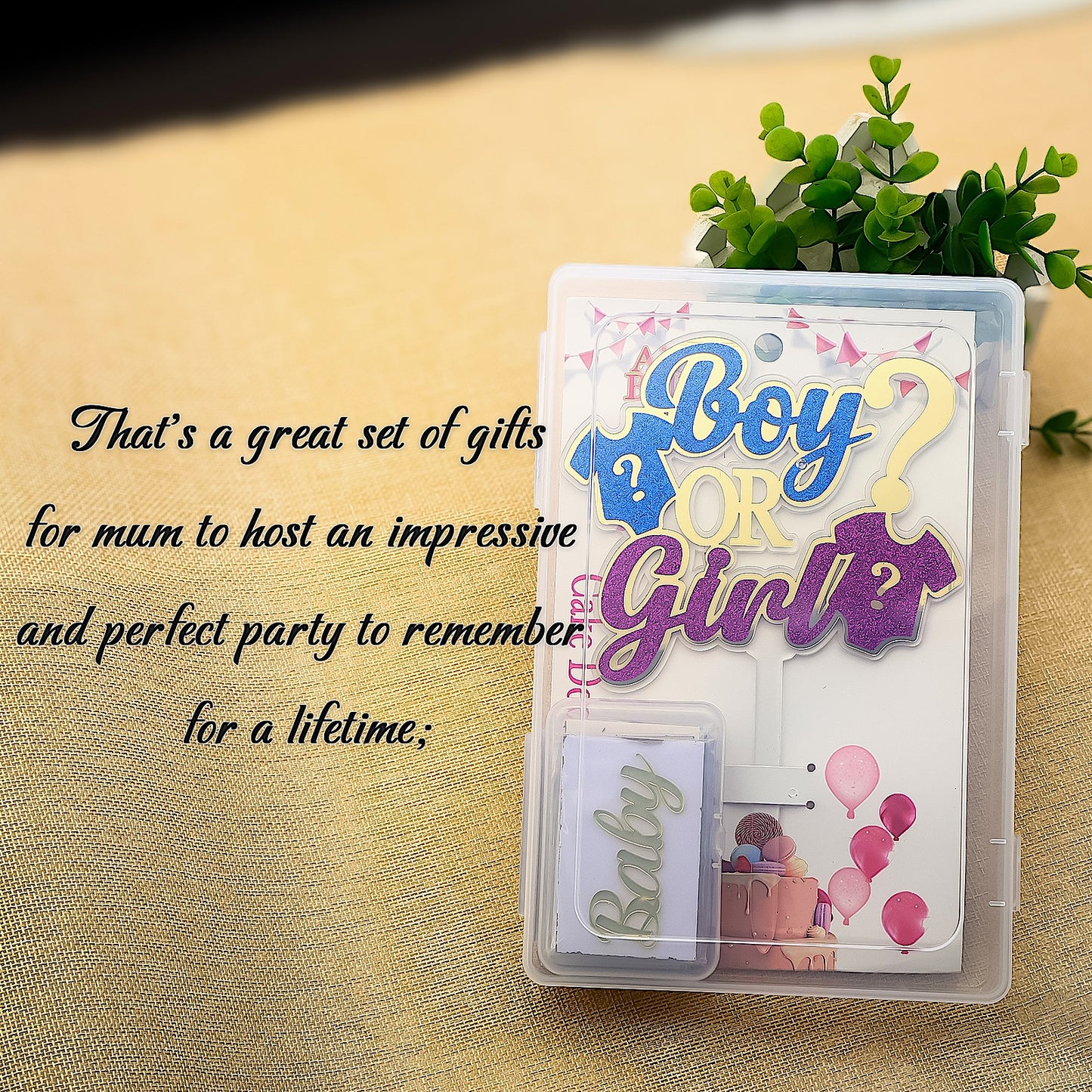 Boy or Girl Gender Reveal Cake Topper Set